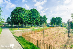 micro foret voltaire sévigné