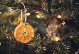 orange séchée
