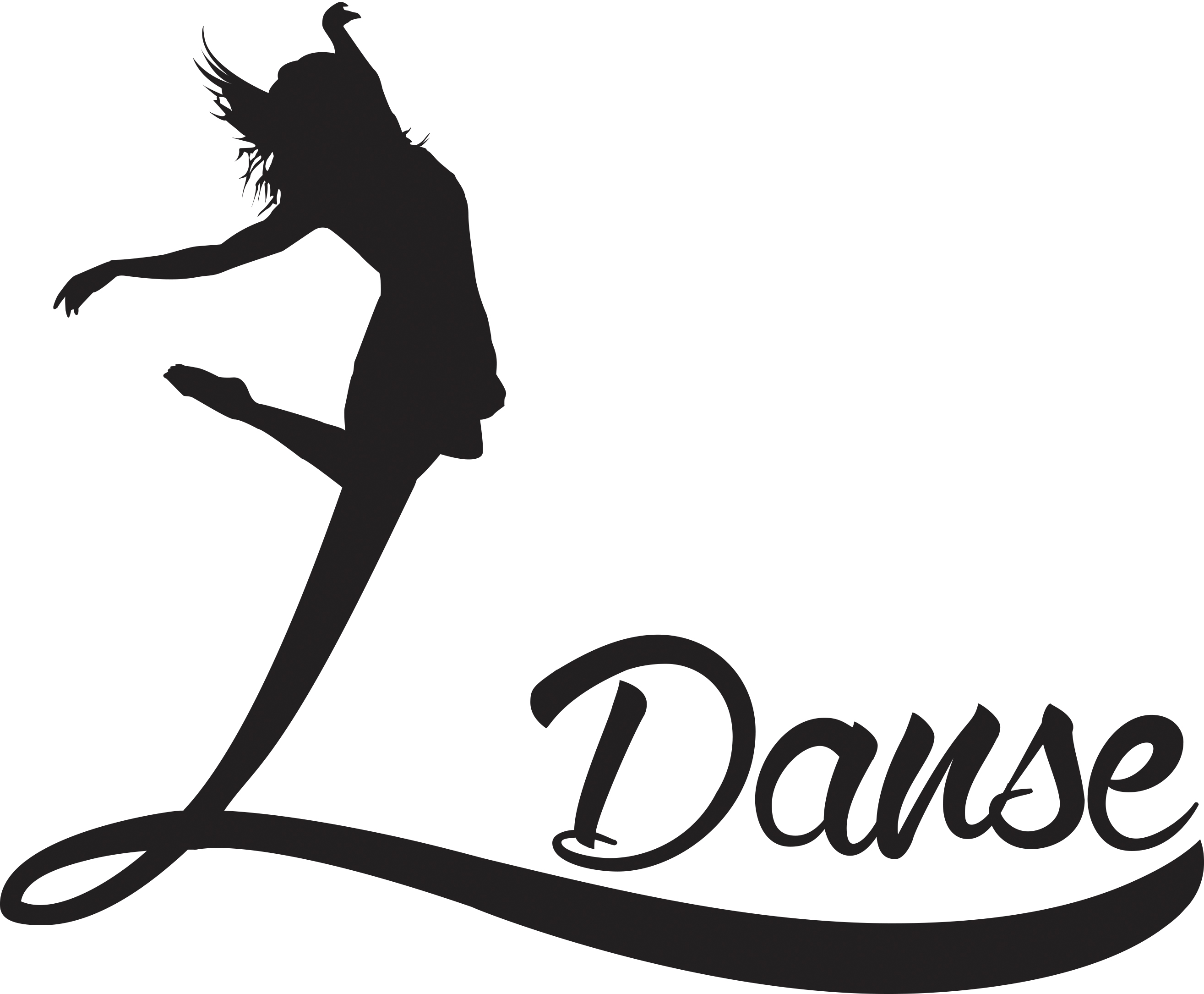 L DANSE  Annuaire des associations Associations 